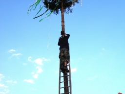 K03